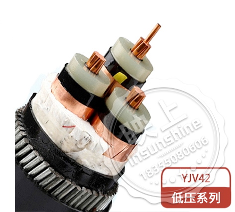YJV42/ZC-YJV42 thick steel wire armored flame-retardant power cable