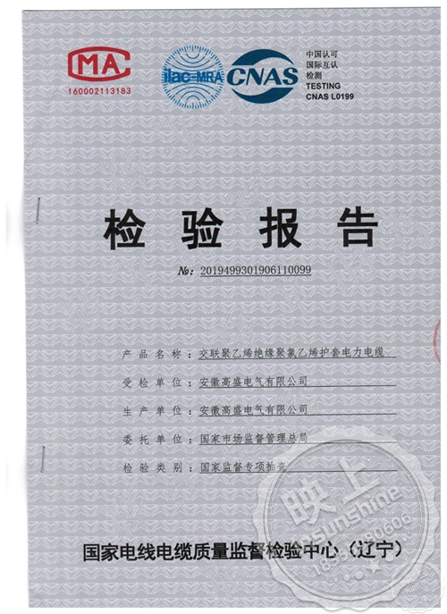 Inspection report YJV-0.6/1KV-3*4+1*2.5