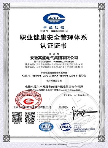 Occupational Health and Safety Management system certification