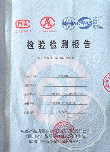 Inspection report-Control cable
