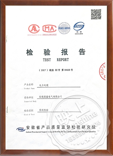 Power cable inspection report