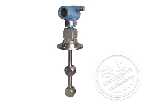 Insertion type on-line density meter