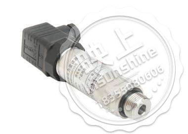 Explosion-proof Compact Pressure Transmitter